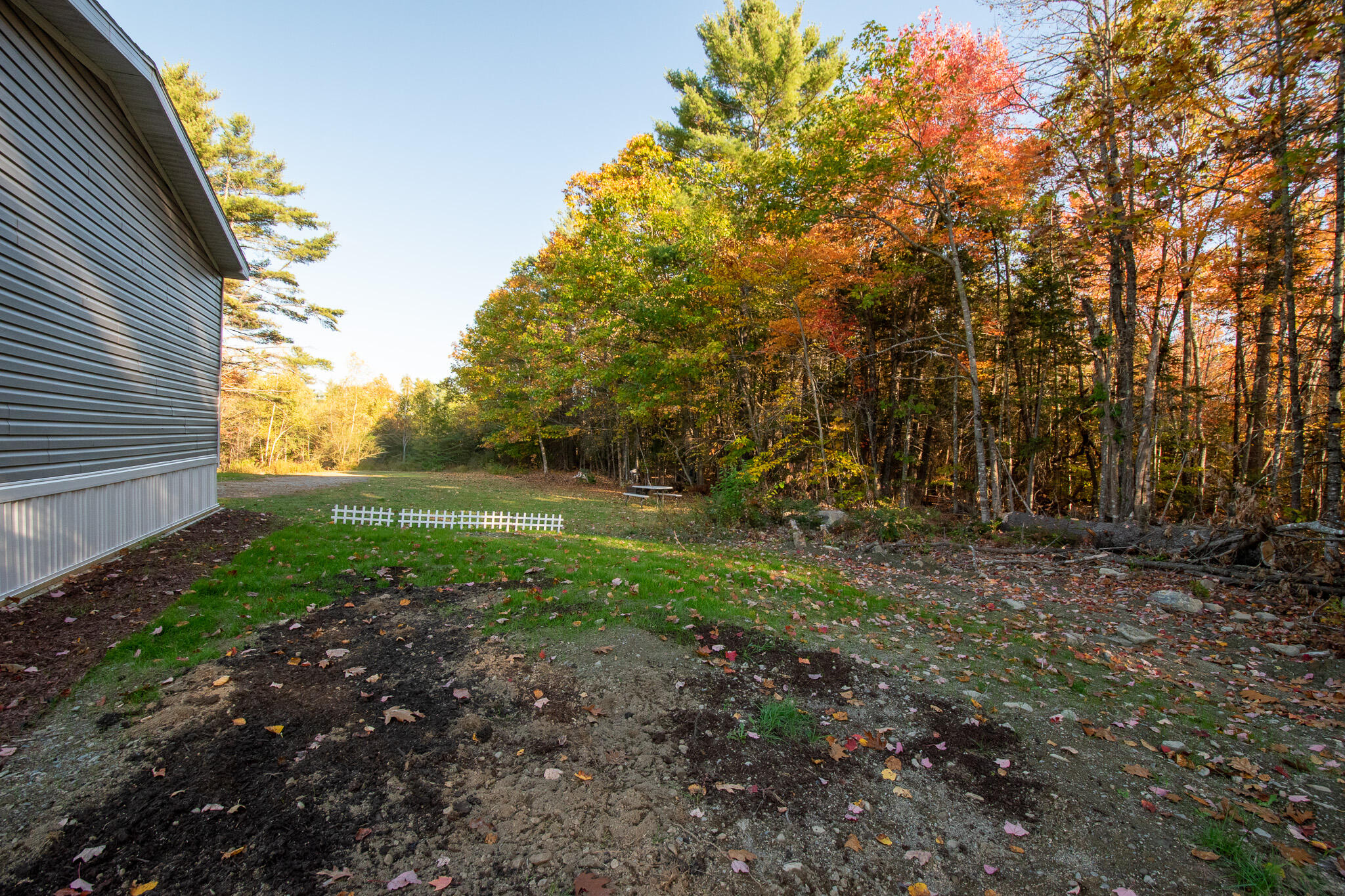 3 Back Road