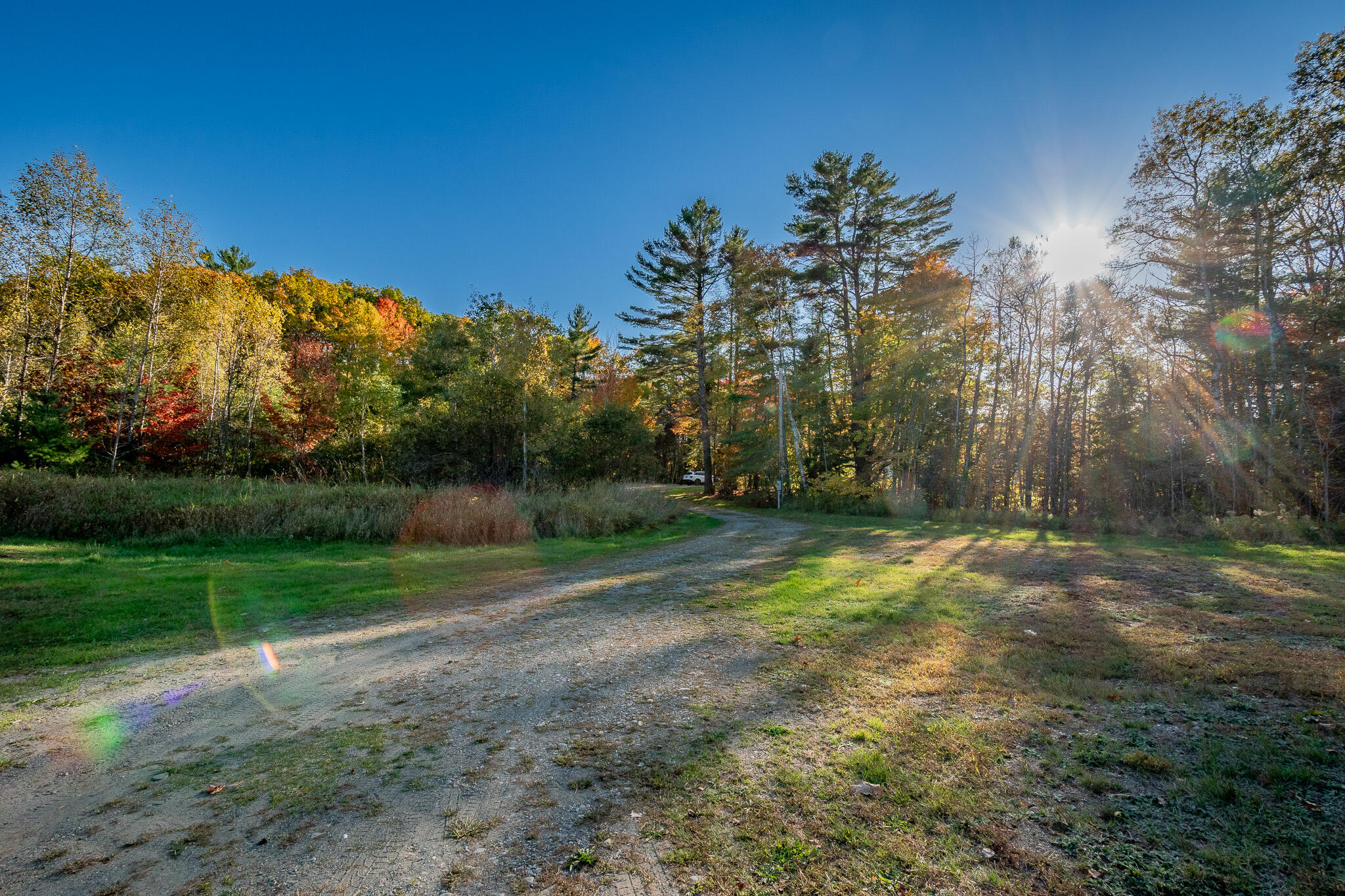 3 Back Road