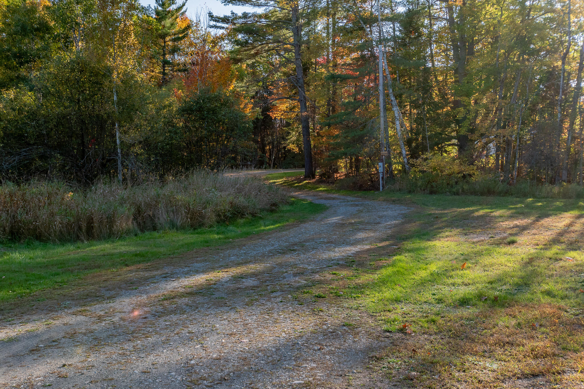 3 Back Road