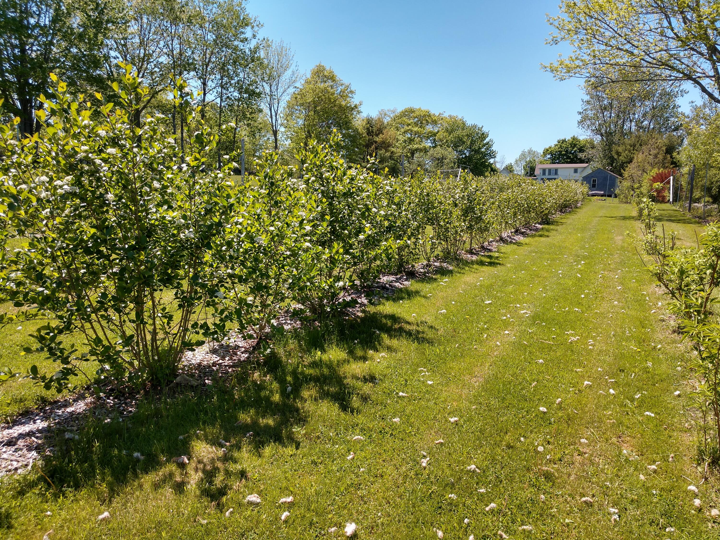 902 Dutch Neck Road