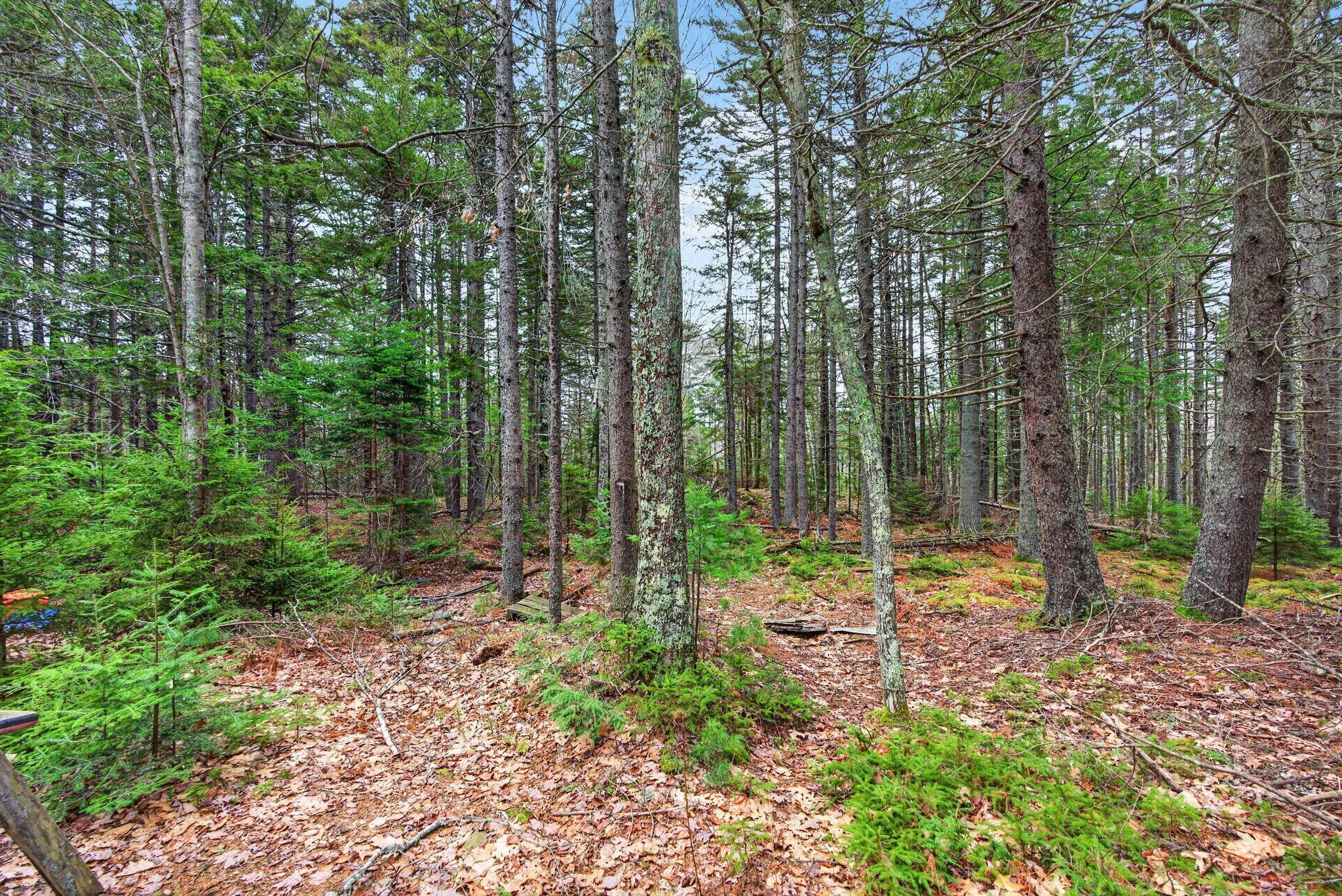 67 Granite Farm Road