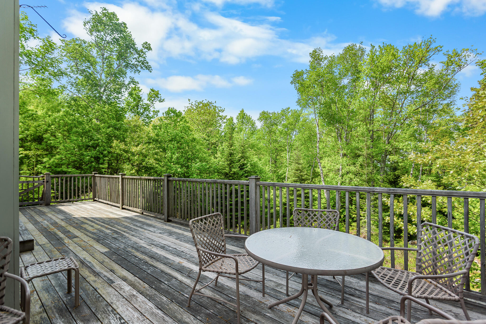24 Moosewood Lane