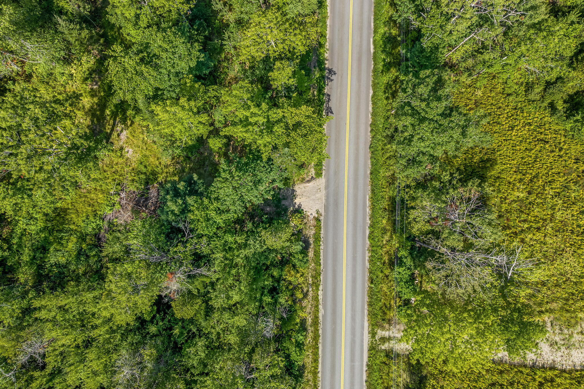 177 Shaw Hill Road