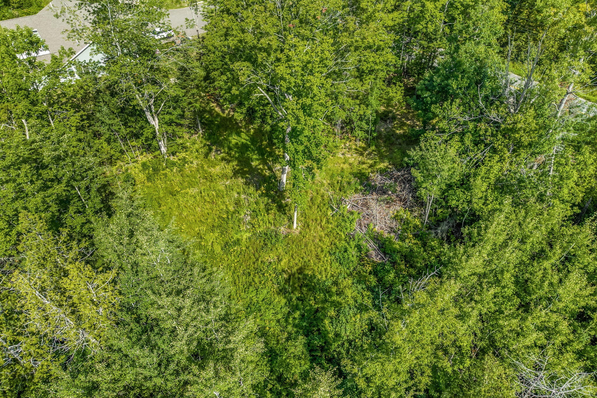 177 Shaw Hill Road