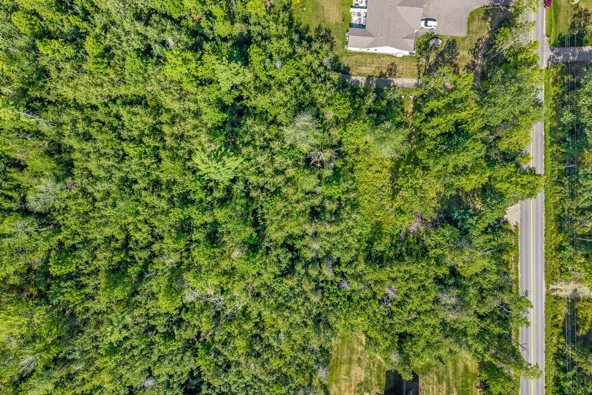 177 Shaw Hill Road