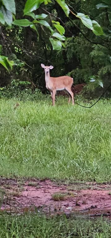 32292 Rattlesnake Hill Road