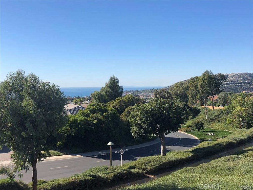 33535 Vista Colina