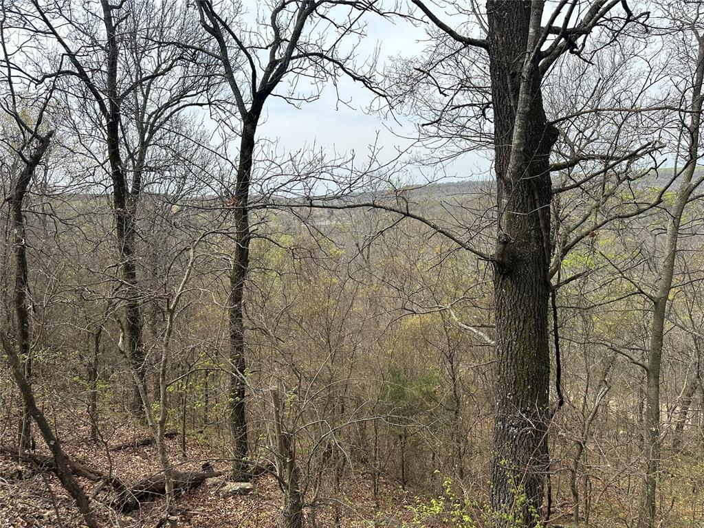 000 W Big Rock Road Unit: Lot #7