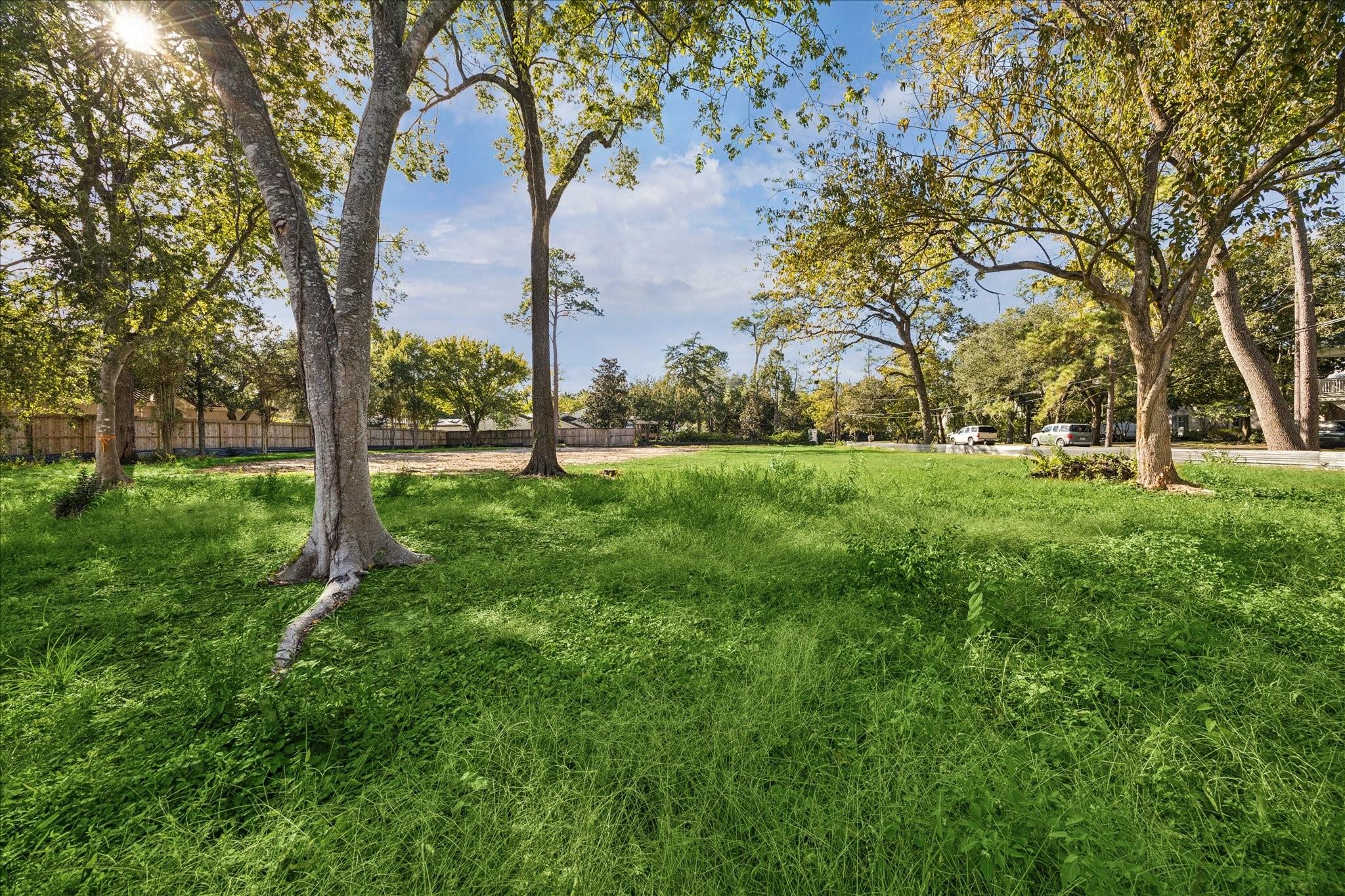 12003 Tall Oaks Street