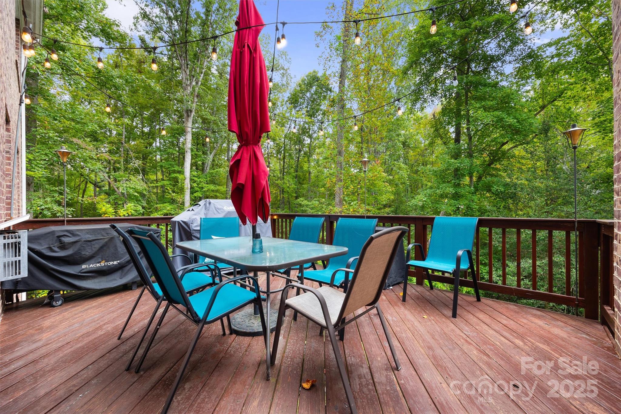 4237 Little Fork Cove Road