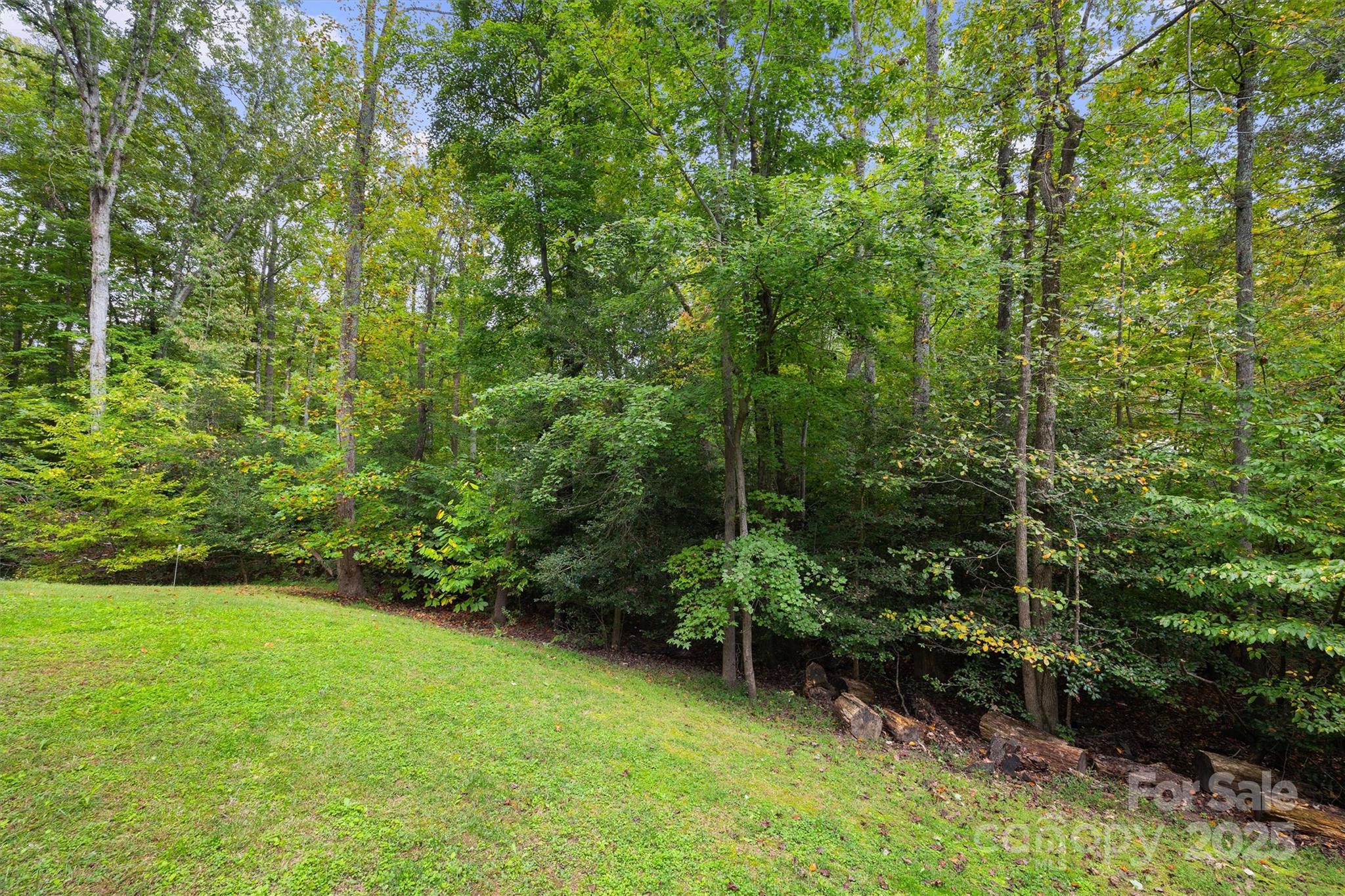 4237 Little Fork Cove Road