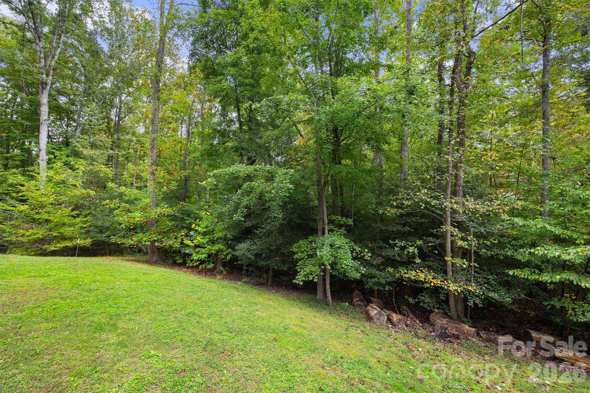 4237 Little Fork Cove Road