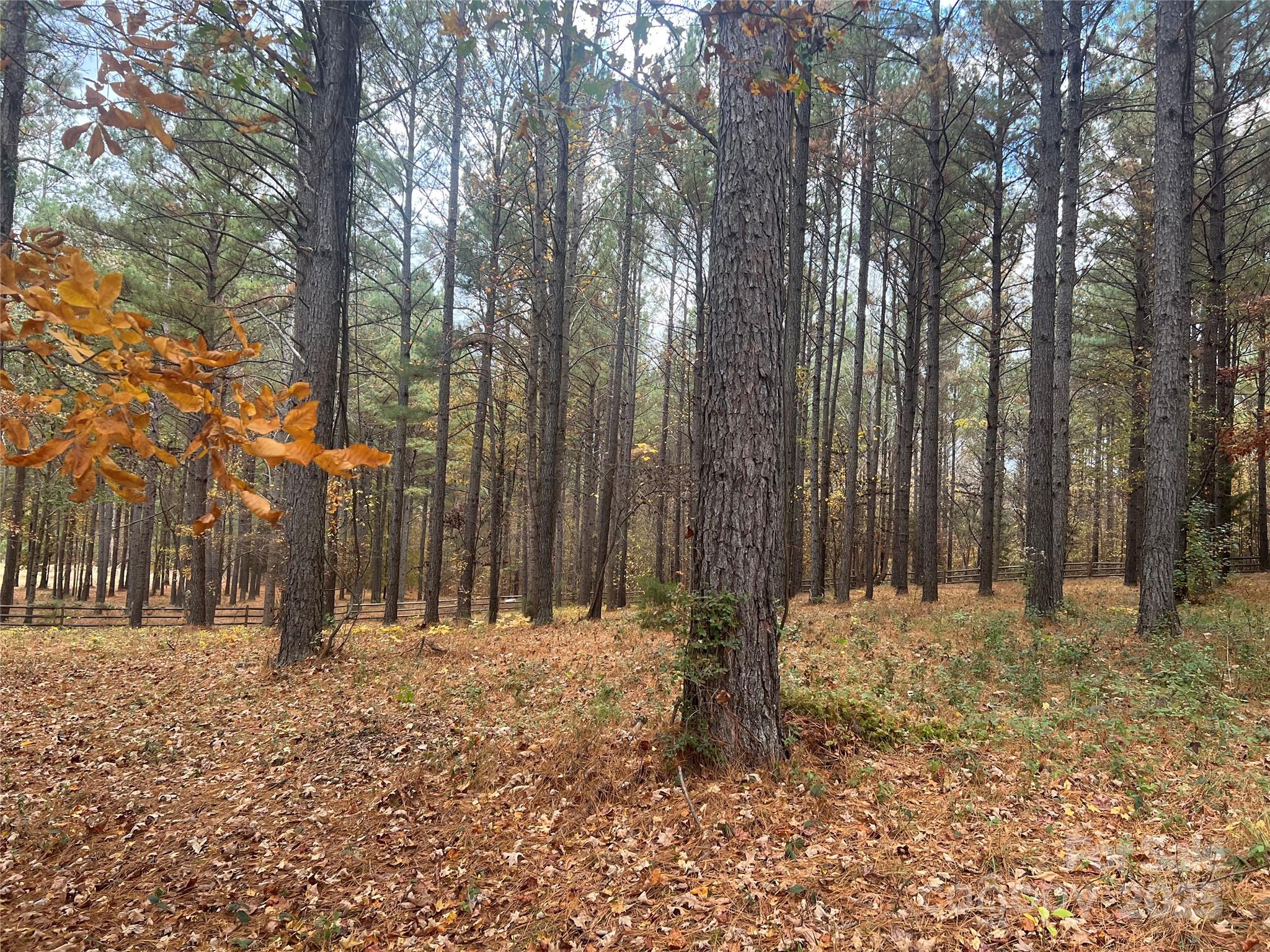 6416 Fawn Crest Drive