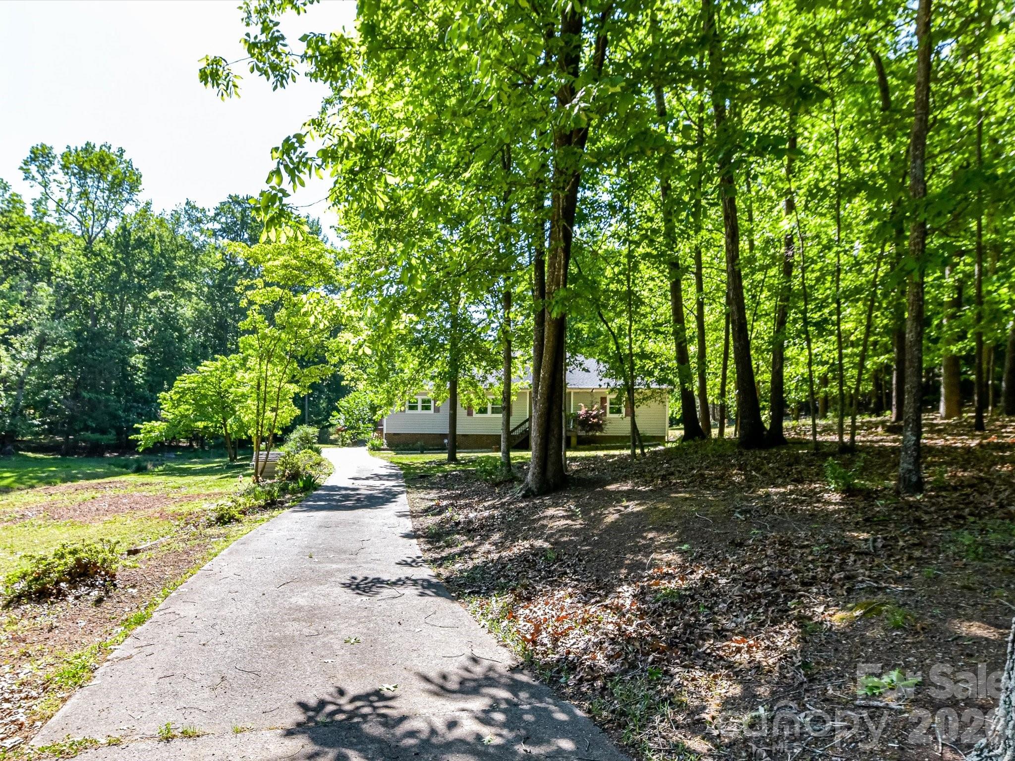 10803 Chestnut Hill Drive