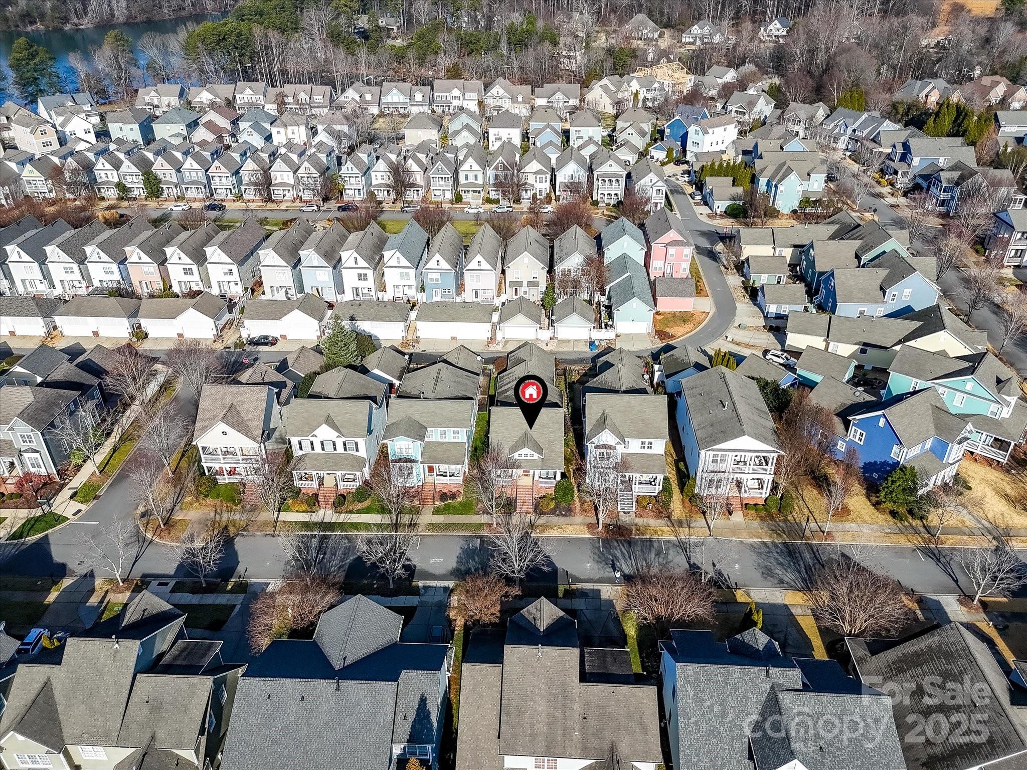 152 Lavender Bloom Loop