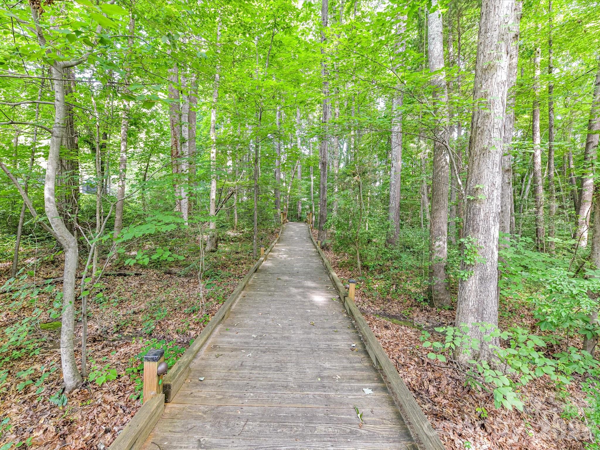 108 Braxton Gate Court