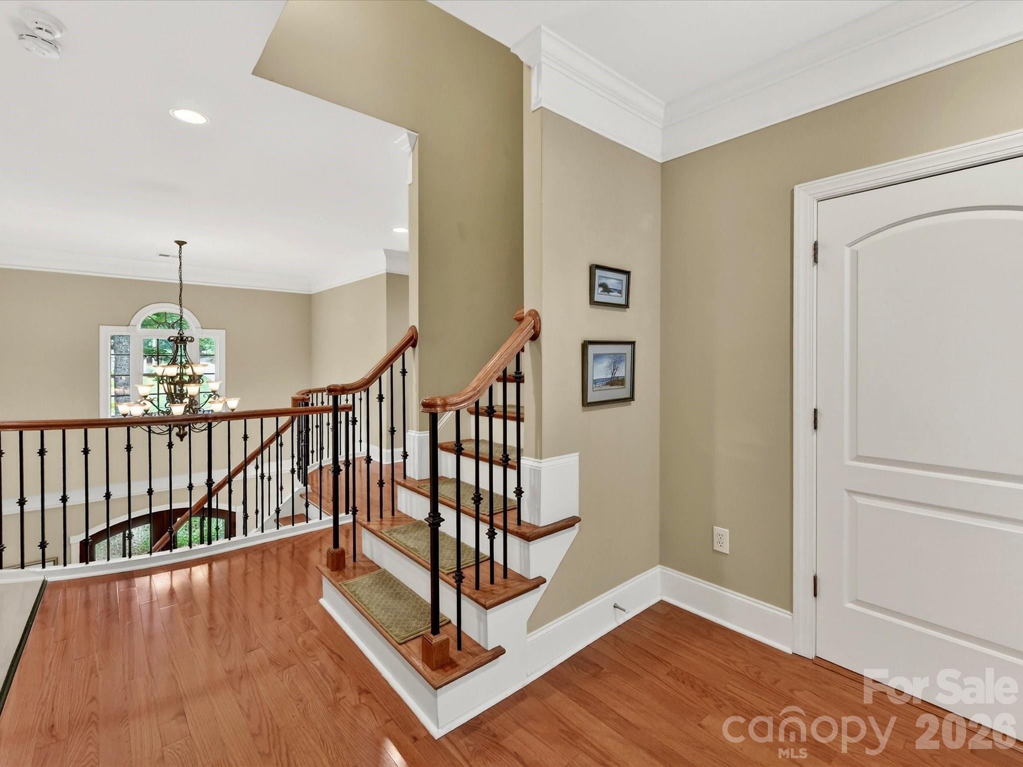 11615 Hidden Forest Lane