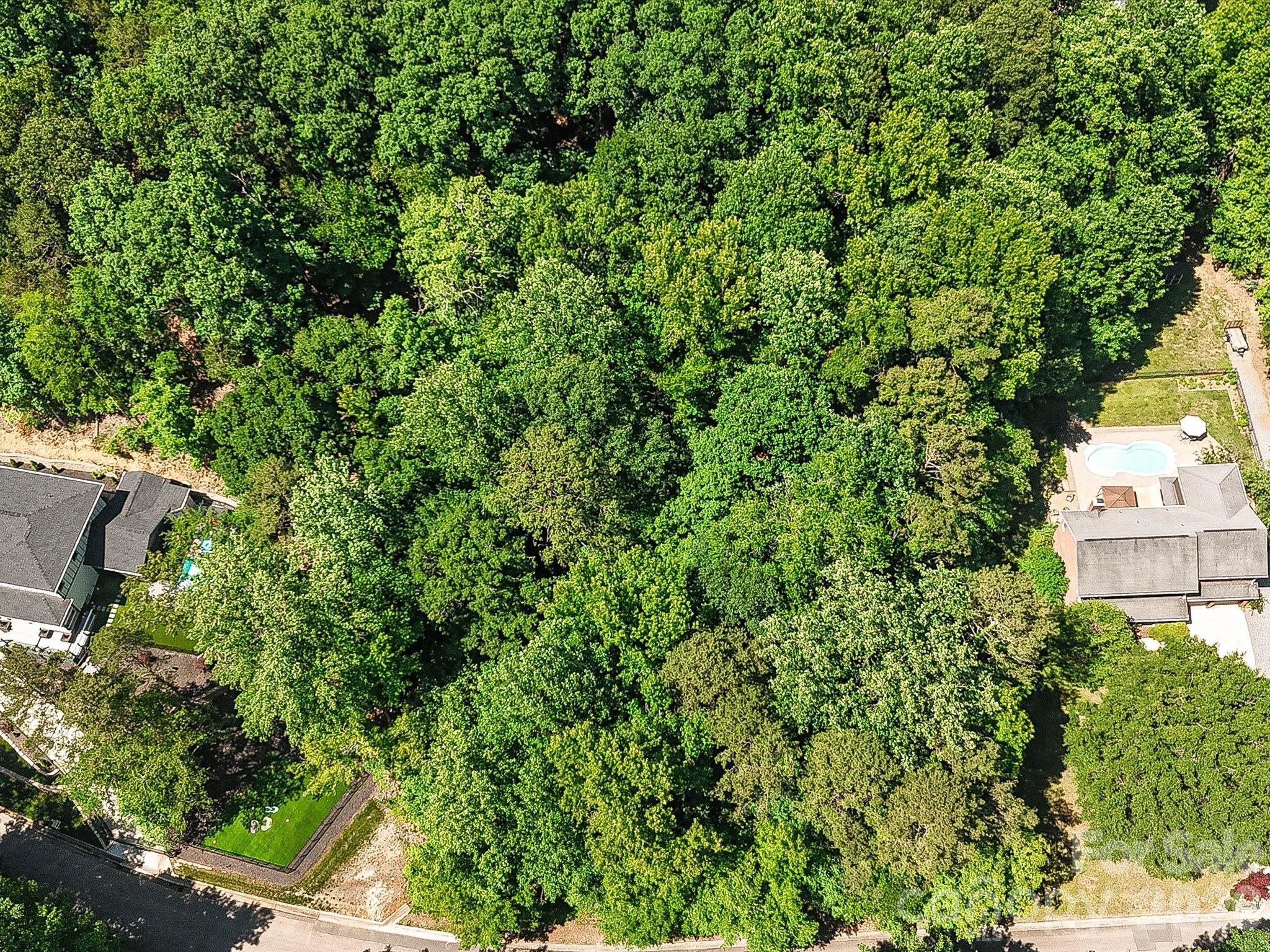 463 Countrywood Place SE