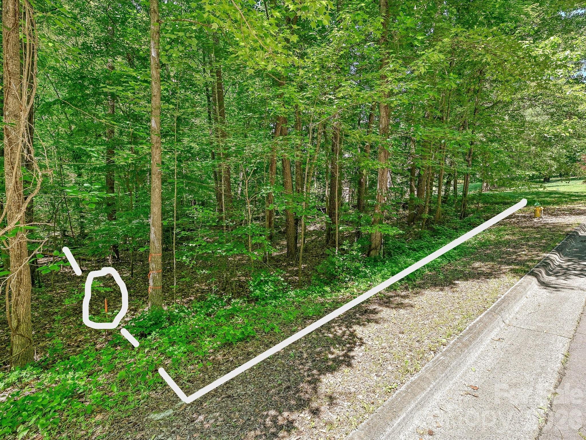 463 Countrywood Place SE