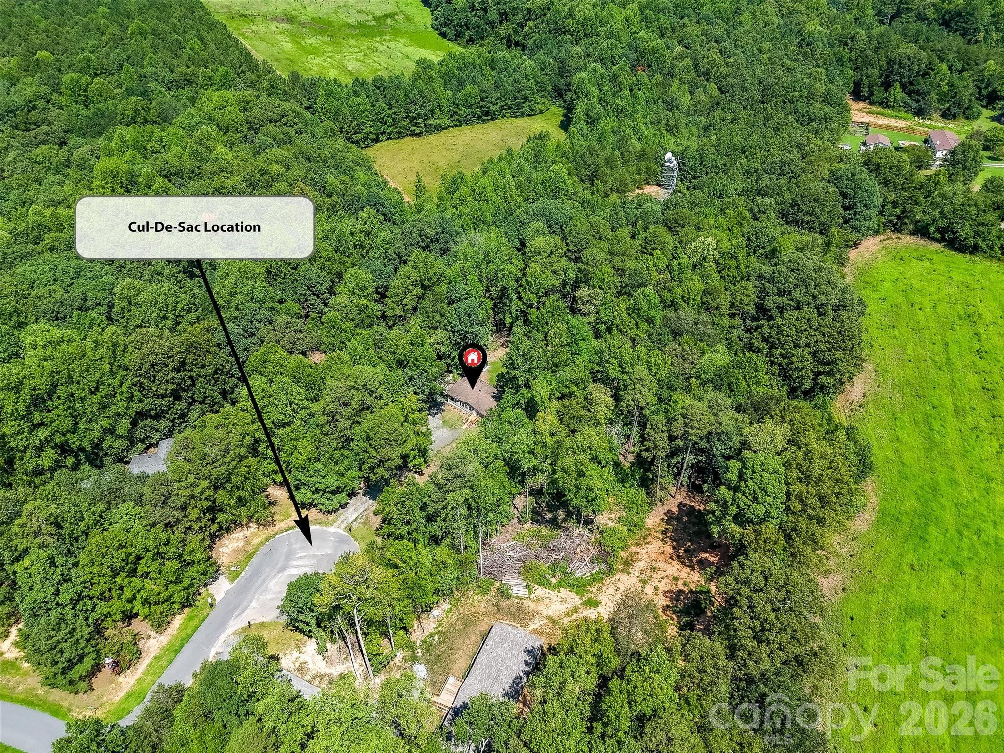 4486 Graybirch Drive