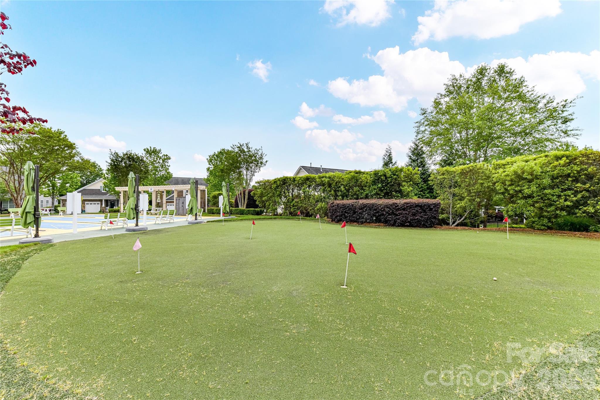 13003 Riley Grace Lane