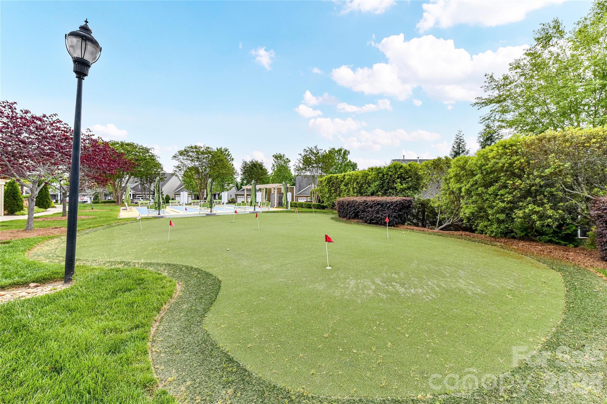 13003 Riley Grace Lane