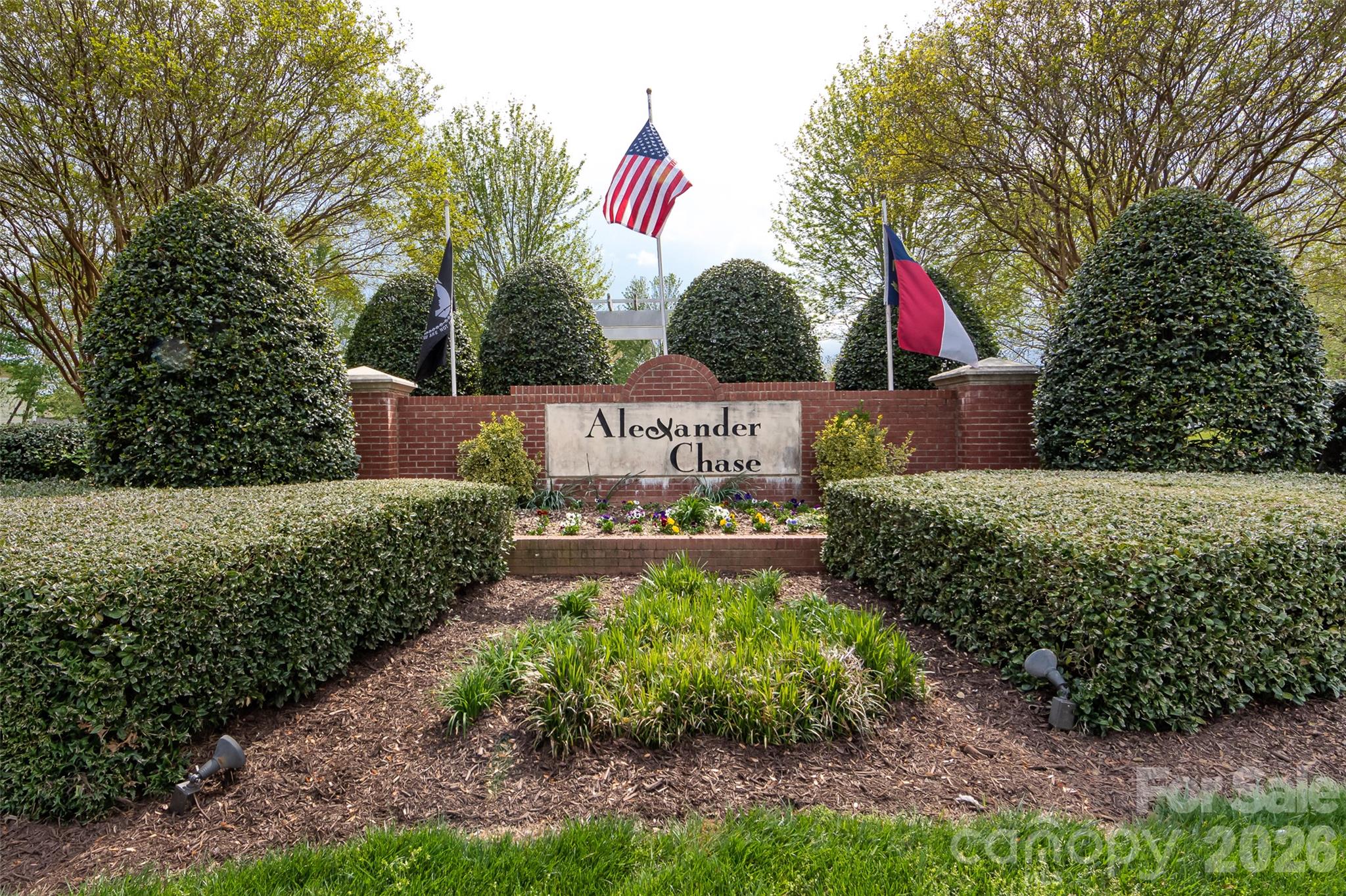 9031 Mcdowell Creek Court
