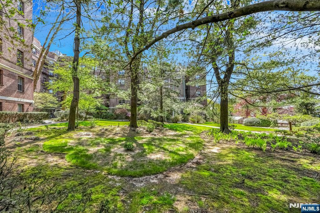 100 E Palisade Avenue A24