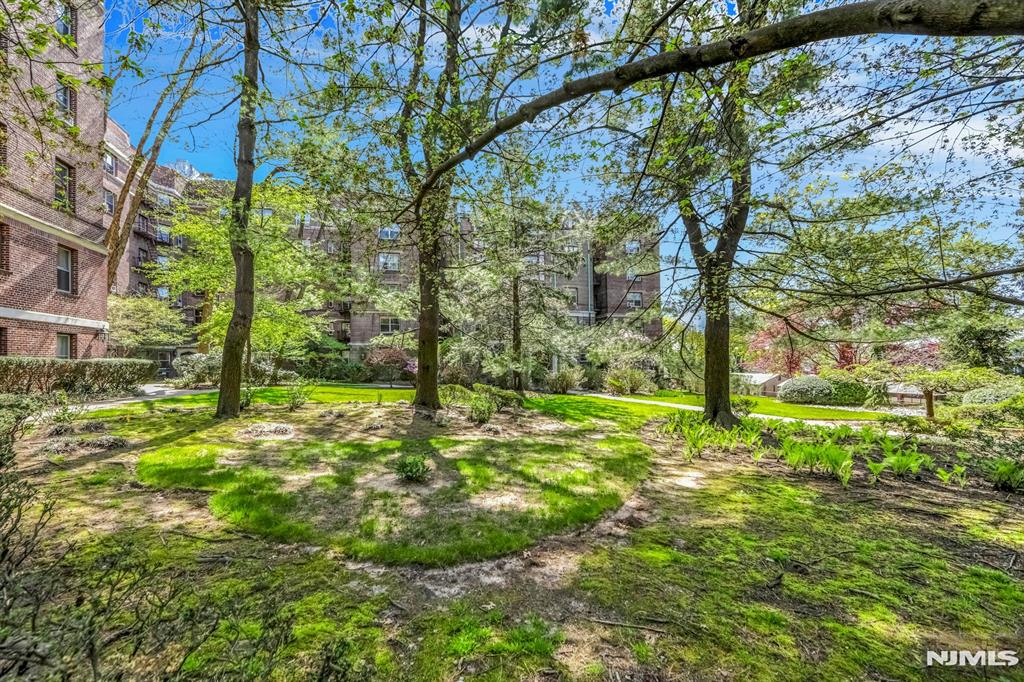 100 E Palisade Avenue A24