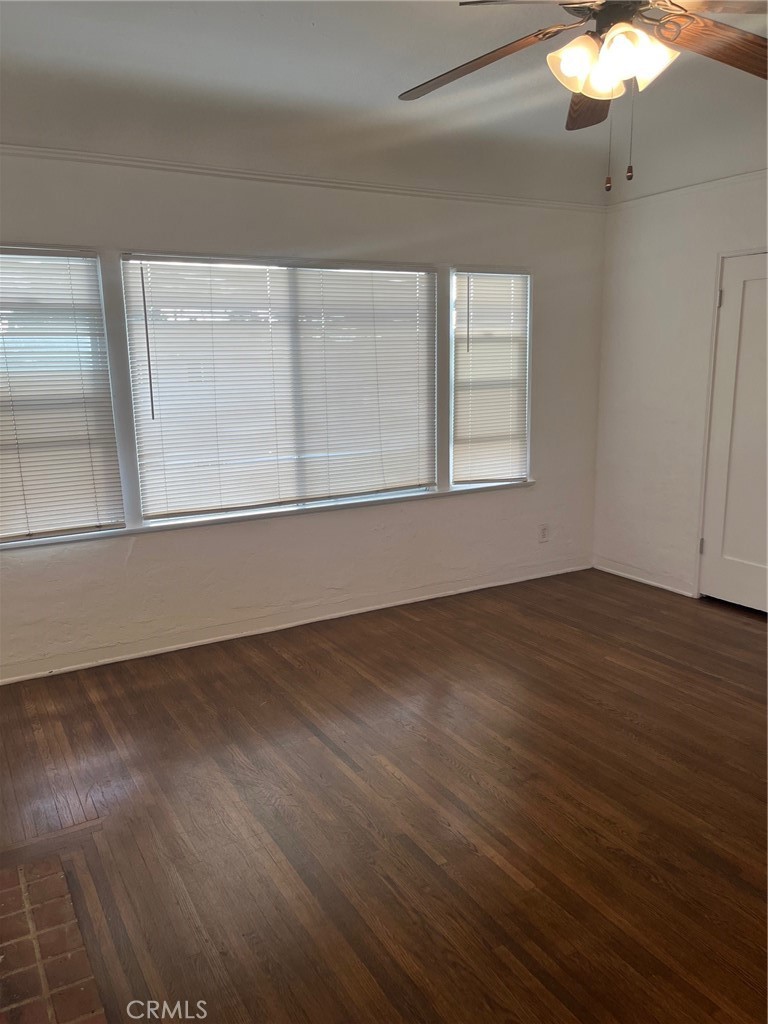 833 Cedar