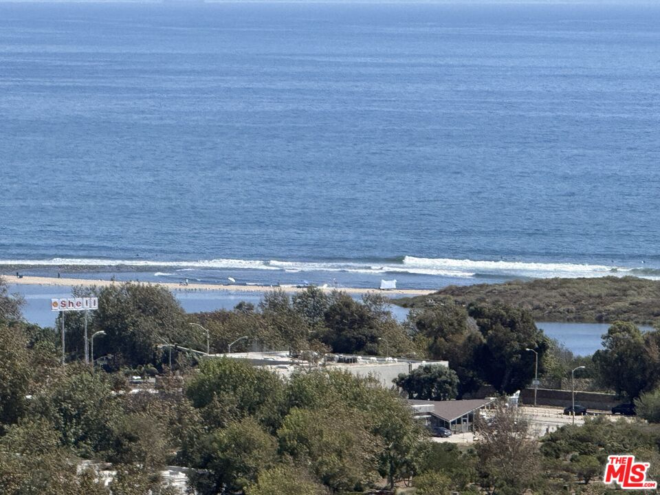 Coastal view of the Pacific Ocean, shoreline, and wetlands beyond the neighborhood.