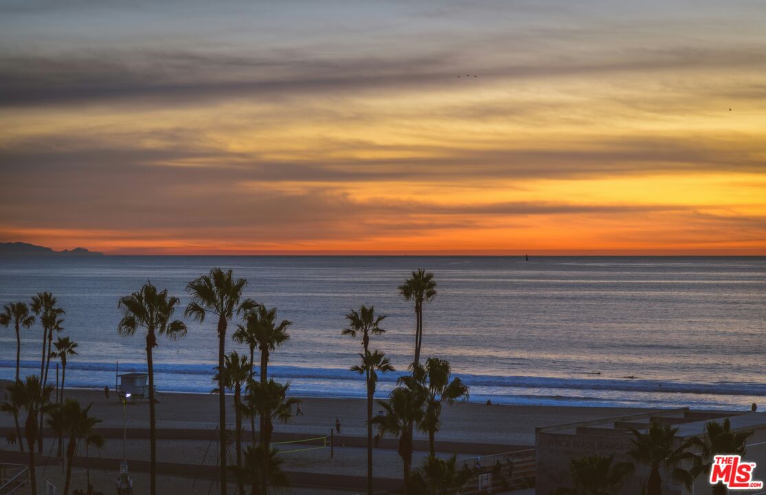 Ocean sunset over a Santa Monica beach, framed by palm trees.