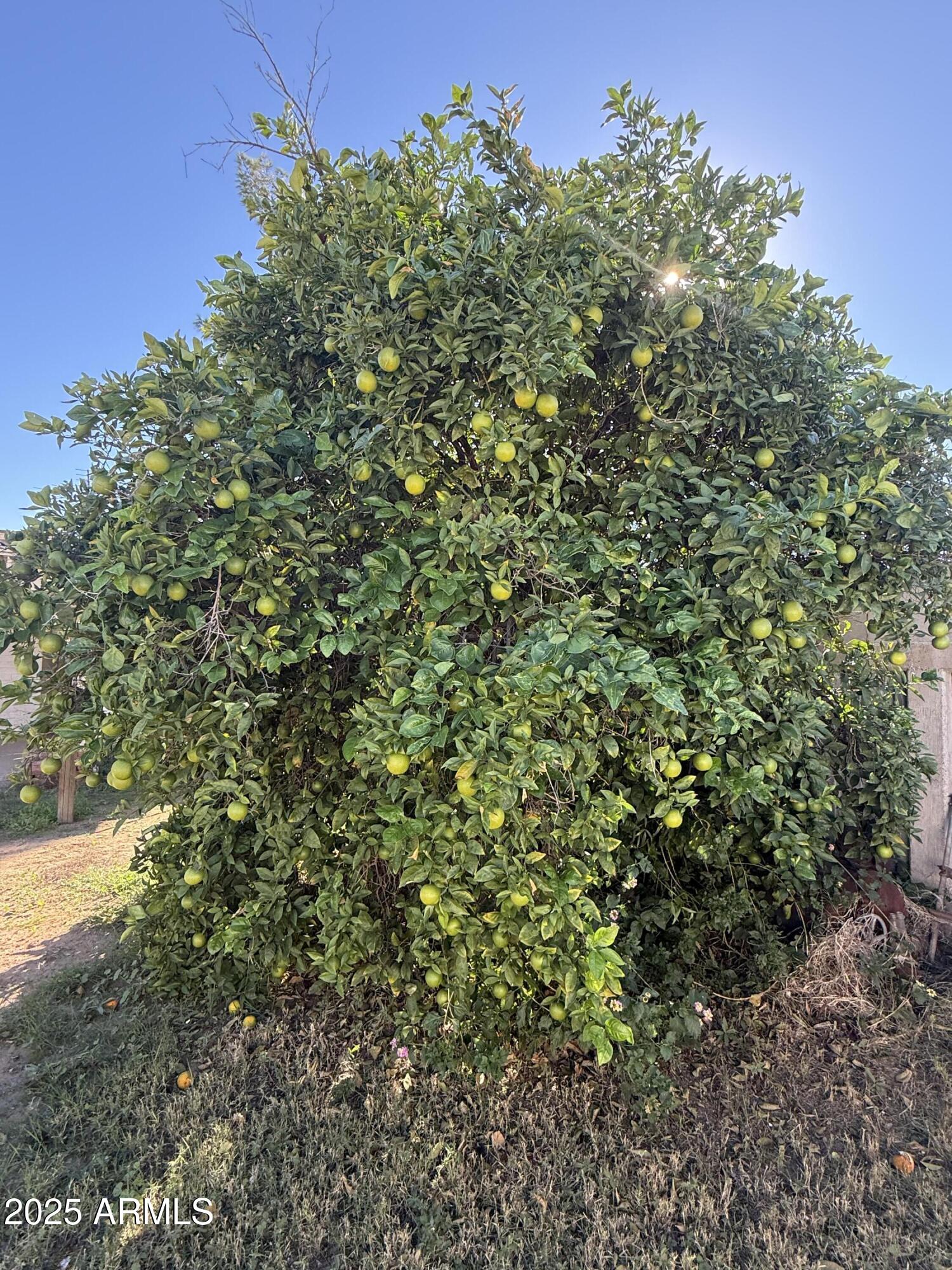 7038 E BELLEVIEW Street