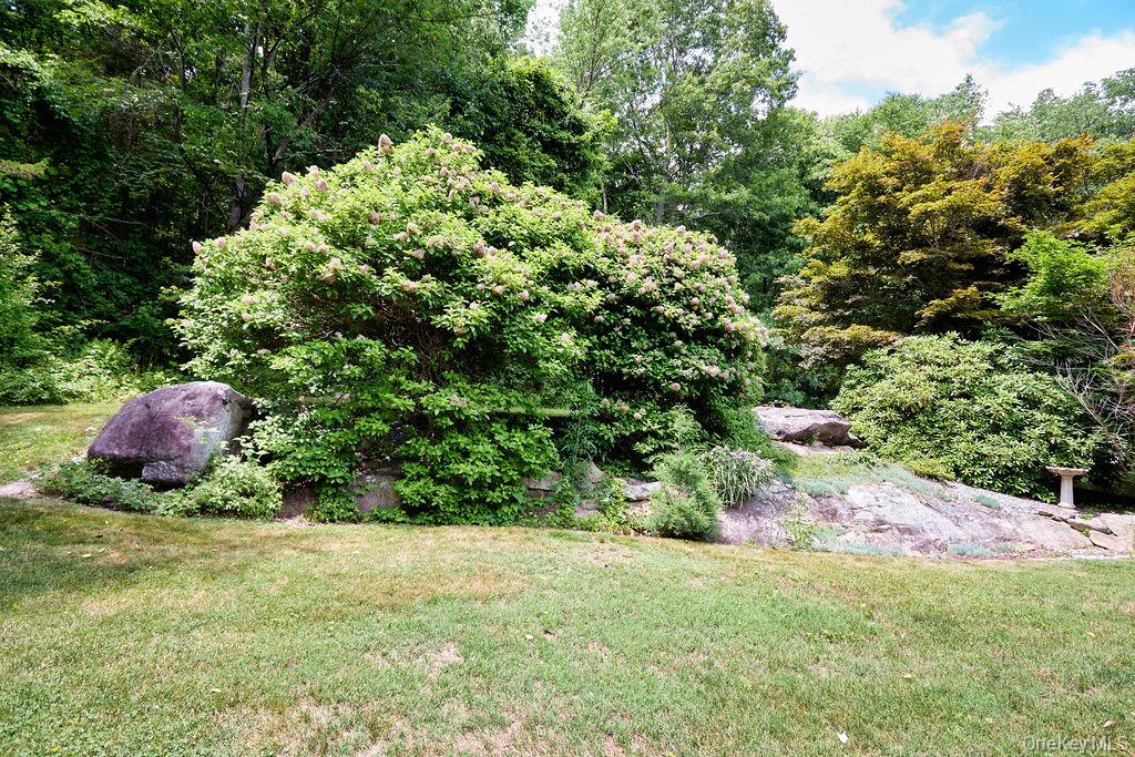 241 Leetown Road