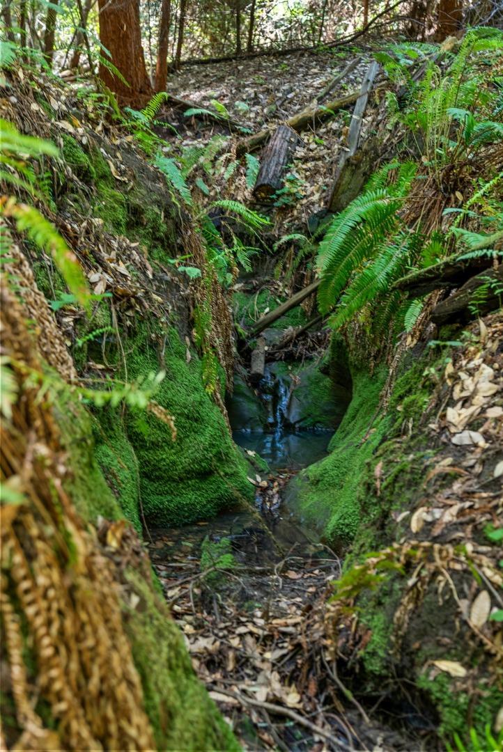 1680 Aptos Creek Road