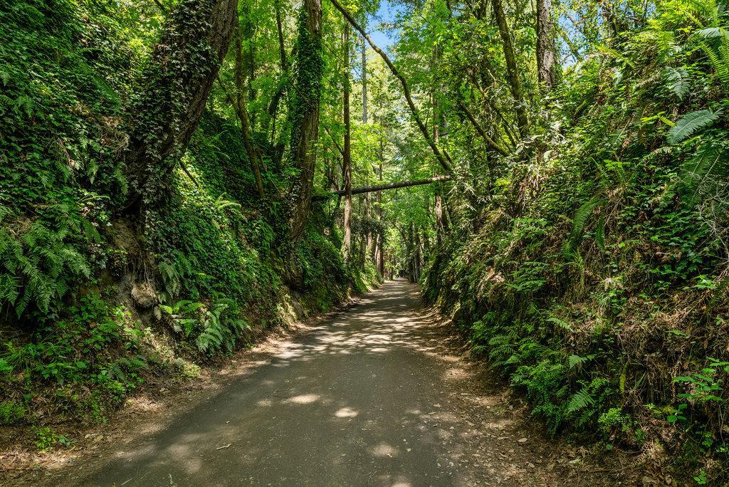 1680 Aptos Creek Road