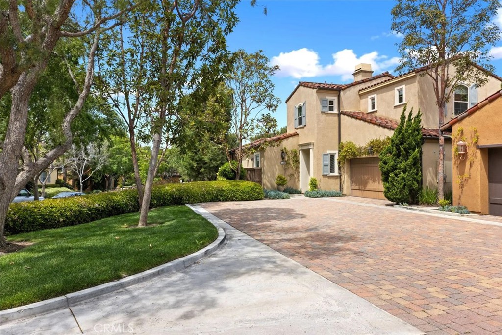 61 Shade Tree