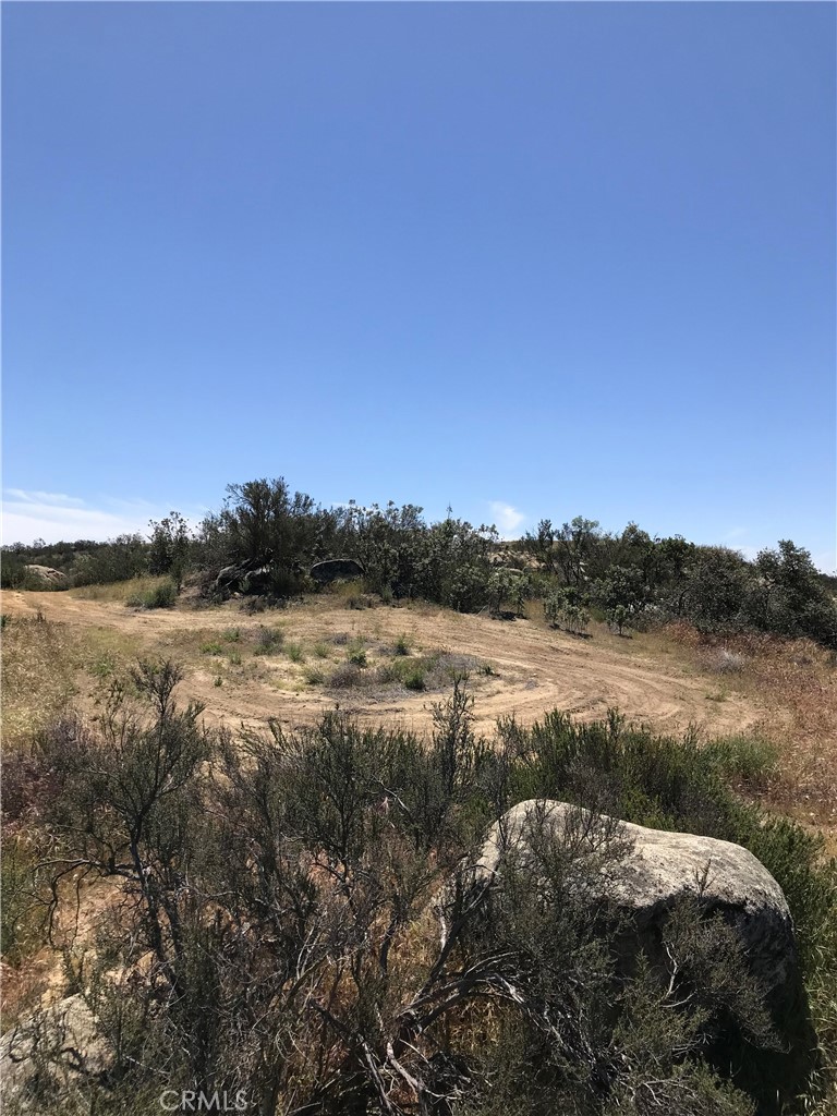 1 Oak Drive