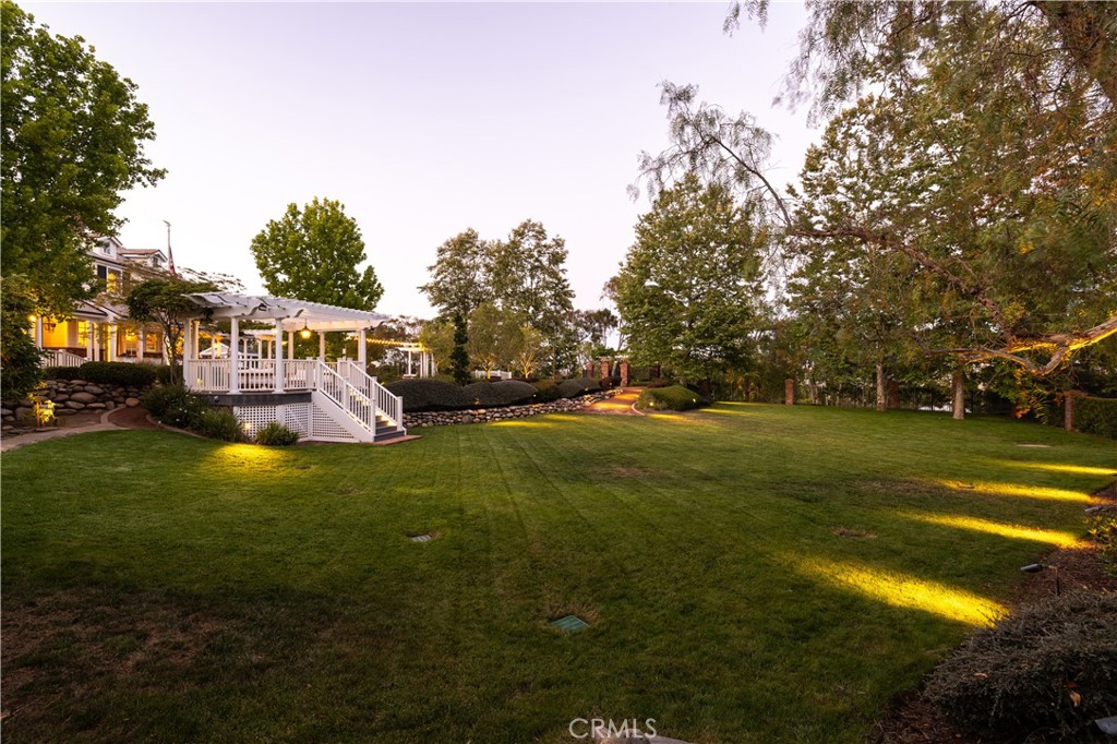 32221 Peppertree