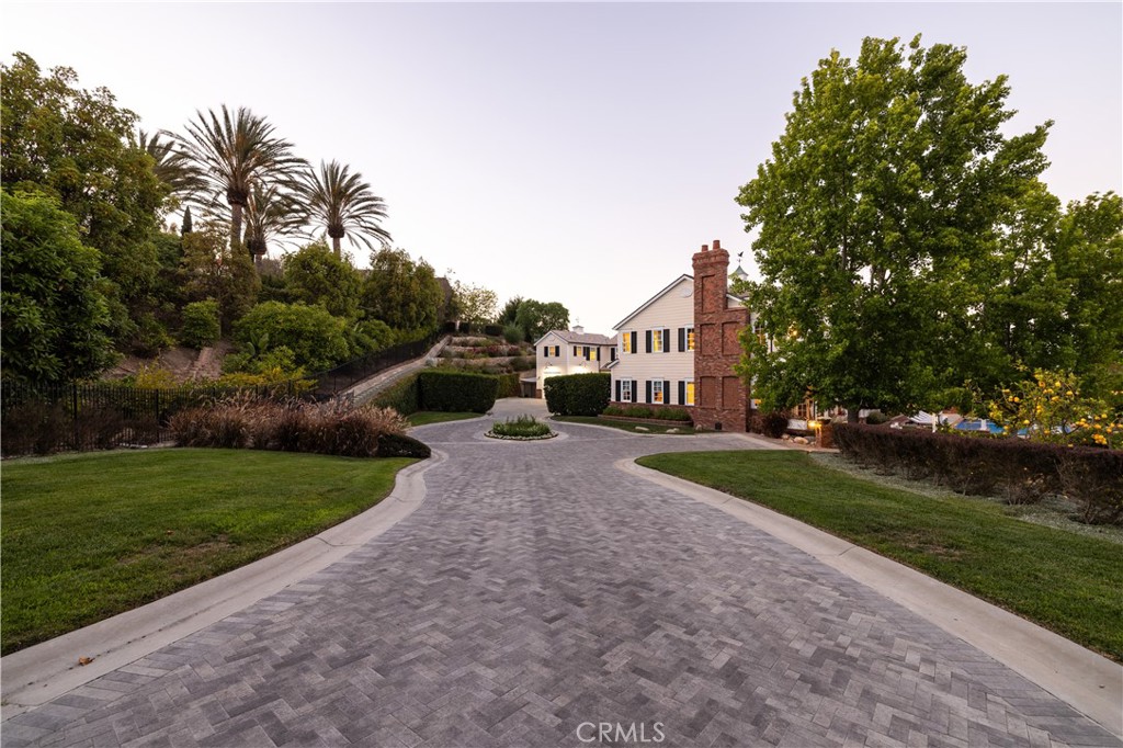32221 Peppertree