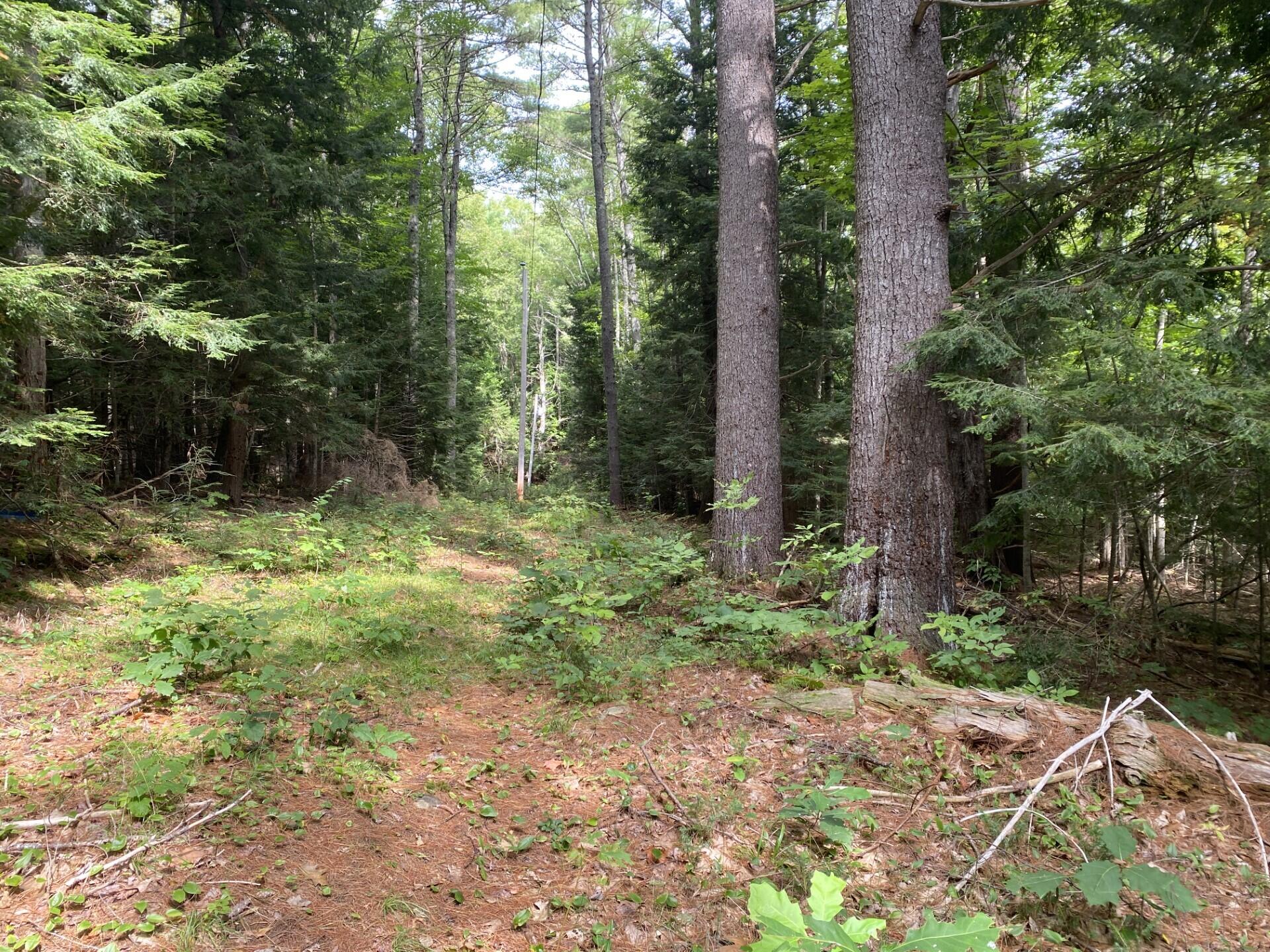 Lot 25 Turner Ridge Road
