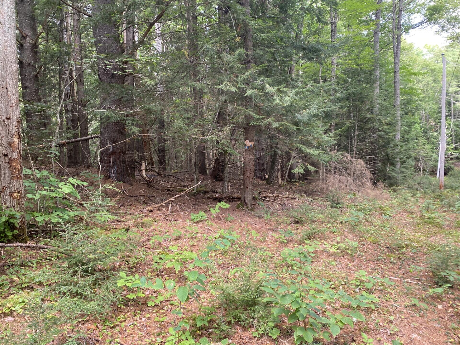 Lot 25 Turner Ridge Road