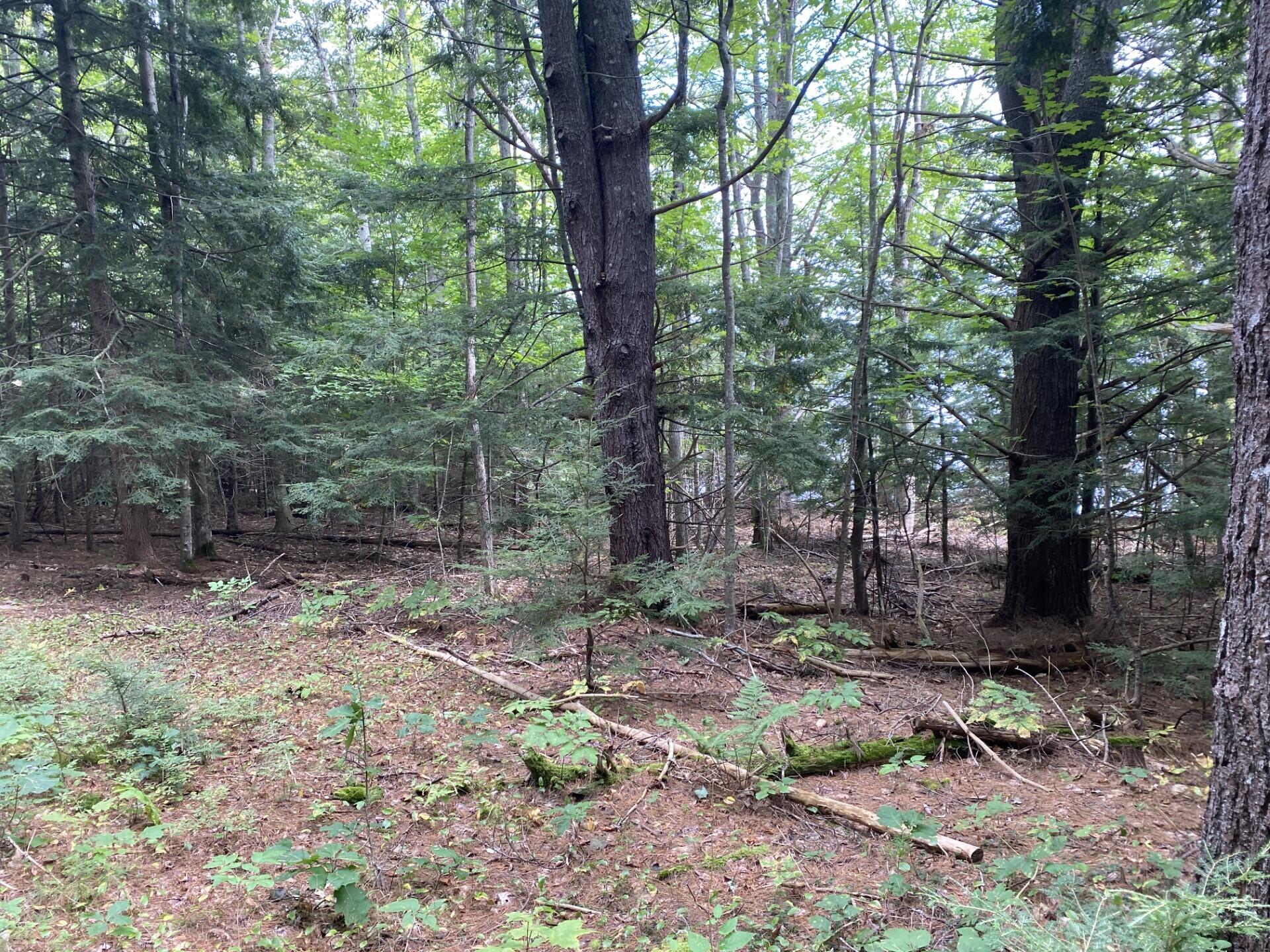 Lot 25 Turner Ridge Road