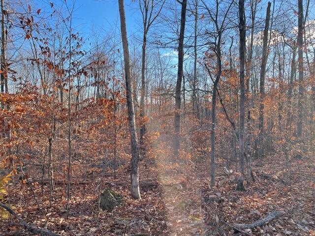 M13 L22-1 Greenleaf Road