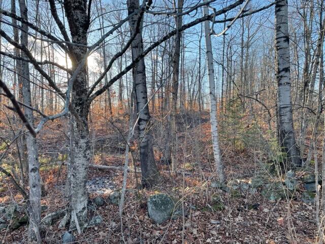 M13 L22-1 Greenleaf Road