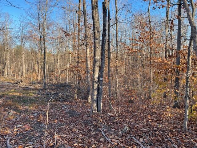 M13 L22-1 Greenleaf Road