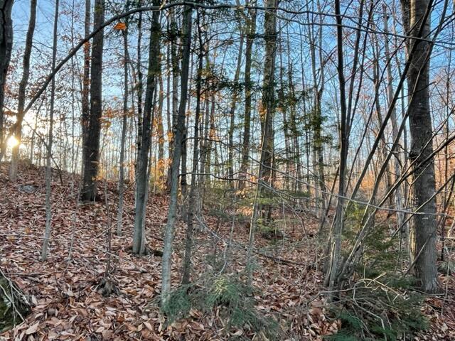 M13 L22-2 Greenleaf Road