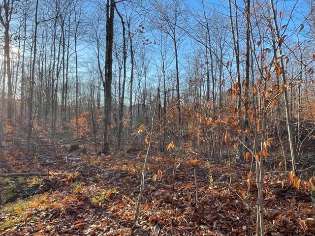 M13 L22-2 Greenleaf Road