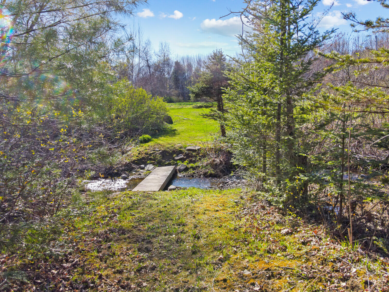 19 Pine Cone Trail