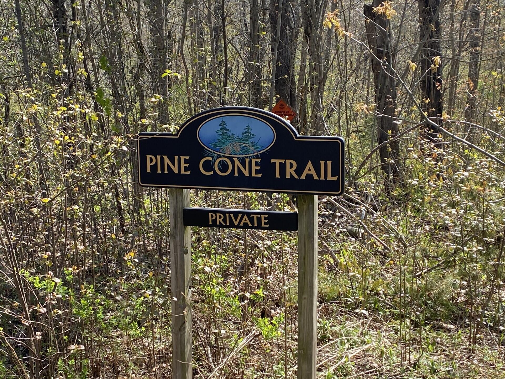 19 Pine Cone Trail